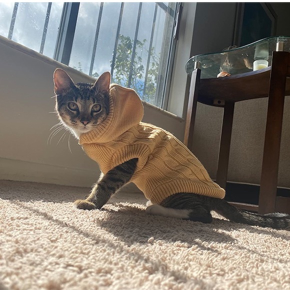 💫 Pupteck Cat Sweater Knitwear - Picture 11 of 11
